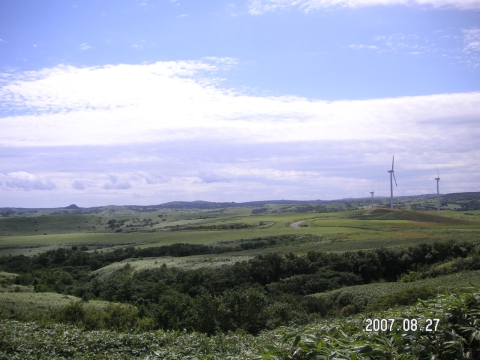 s_PICT0179.jpg